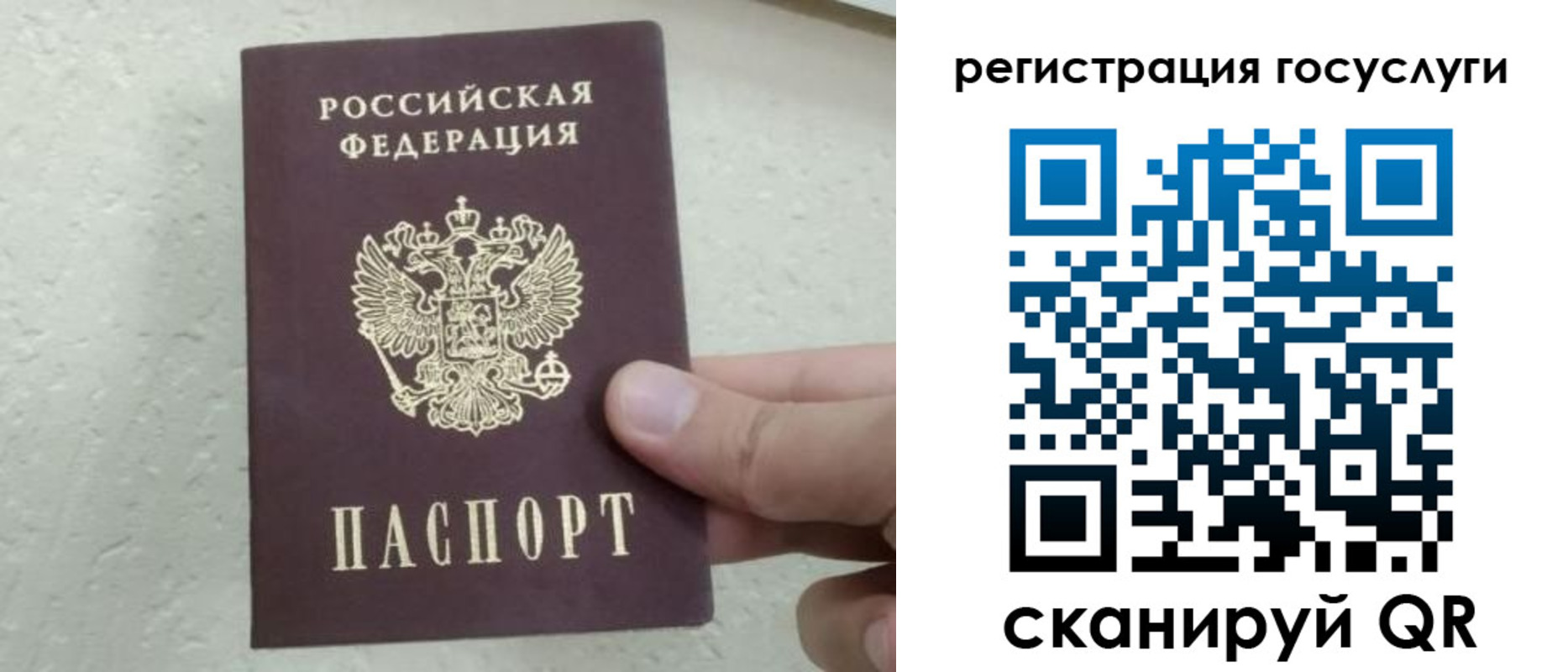 прописка для школы в Пушкино